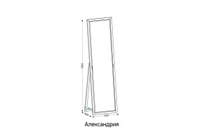 АЛЕКСАНДРИЯ-9.1 Зеркало напольное в Шадринске - shadrinsk.ok-mebel.com | фото 2