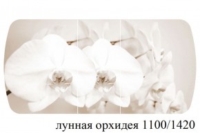 БОСТОН - 3 Стол раздвижной Лунная орхидея 1100/1420 опоры Триумф в Шадринске - shadrinsk.ok-mebel.com | фото 3