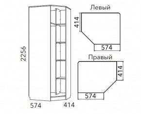 Детская Фанк Шкаф угловой Левый/Правый НМ 013.04-02 М в Шадринске - shadrinsk.ok-mebel.com | фото 3