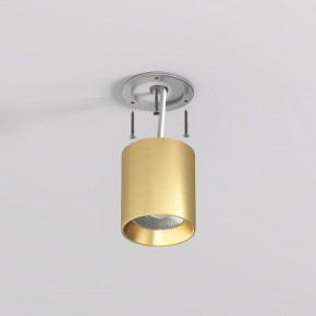 DK2610-SB Накладной светильник SHINE TUBE со светодиодом, D70*H80, IP20, 3000К, 10W, RA?90, сатинированная латунь, алюминий в Шадринске - shadrinsk.ok-mebel.com | фото 3