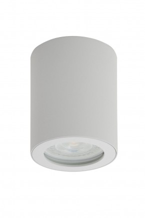 DK3007-WH Накладной светильник влагозащ., IP 44, 15 Вт, GU10, белый, алюминий в Шадринске - shadrinsk.ok-mebel.com | фото