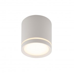 DK4016-WH Светильник накладной IP 20, 5 Вт, LED 3000, белый, алюминий/акрил в Шадринске - shadrinsk.ok-mebel.com | фото