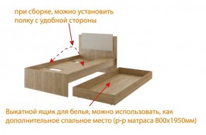 Дуглас (подростковая) М14 Кровать в Шадринске - shadrinsk.ok-mebel.com | фото 5