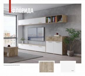 ФЛОРИДА Гостиная (модульная) дуб серый/белый в Шадринске - shadrinsk.ok-mebel.com | фото