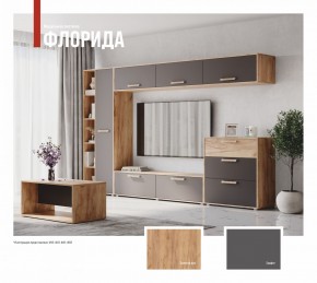 ФЛОРИДА Гостиная (модульная) дуб золотой/графит в Шадринске - shadrinsk.ok-mebel.com | фото