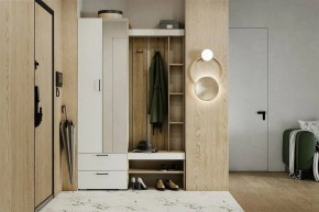 Гарнитур для прихожей Торонто в Шадринске - shadrinsk.ok-mebel.com | фото 5