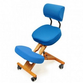 Коленный стул со спинкой Smartstool KW02В + Чехлы в Шадринске - shadrinsk.ok-mebel.com | фото 2
