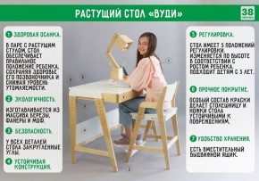 Комплект растущий стол и стул с чехлом 38 попугаев «Вуди» (Серый, Береза, Салют) в Шадринске - shadrinsk.ok-mebel.com | фото