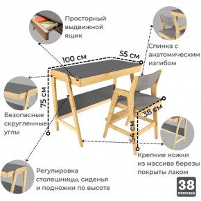 Комплект растущий стол и стул с чехлом 38 попугаев «Вуди» (Серый, Береза, Серый) в Шадринске - shadrinsk.ok-mebel.com | фото