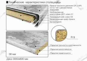 Кухонный фартук со столешницей (А-04) в едином стиле (3050 мм) в Шадринске - shadrinsk.ok-mebel.com | фото 6
