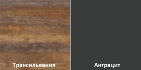 Кухонный гарнитур угловой Трансильвания 2400x1600 мм (Стол. 38 мм) Антрацит/Трансильвания в Шадринске - shadrinsk.ok-mebel.com | фото 3