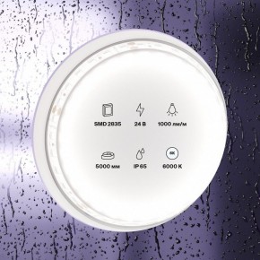 Лента светодиодная Maytoni Led strip 10147 в Шадринске - shadrinsk.ok-mebel.com | фото 2