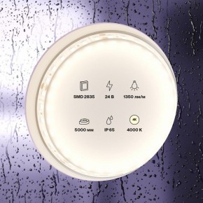 Лента светодиодная Maytoni Led strip 10152 в Шадринске - shadrinsk.ok-mebel.com | фото 2