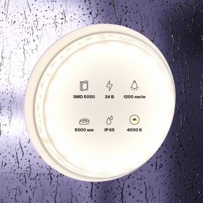 Лента светодиодная Maytoni Led strip 10172 в Шадринске - shadrinsk.ok-mebel.com | фото 2