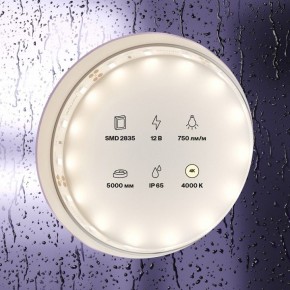 Лента светодиодная Maytoni Led strip 20005 в Шадринске - shadrinsk.ok-mebel.com | фото 2