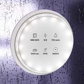 Лента светодиодная Maytoni Led strip 20006 в Шадринске - shadrinsk.ok-mebel.com | фото 2