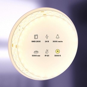 Лента светодиодная Maytoni Led strip 20031 в Шадринске - shadrinsk.ok-mebel.com | фото 2