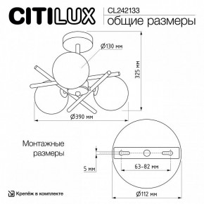 Люстра на штанге Citilux Ronny CL242133 в Шадринске - shadrinsk.ok-mebel.com | фото 7