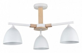 Люстра на штанге Lumion Colange 8095/3C в Шадринске - shadrinsk.ok-mebel.com | фото