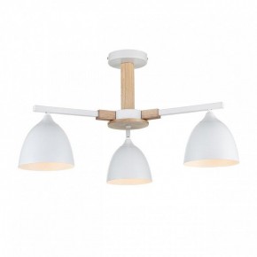 Люстра на штанге Lumion Colange 8095/3C в Шадринске - shadrinsk.ok-mebel.com | фото 2
