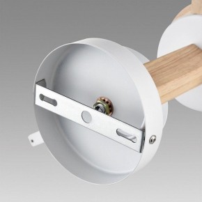Люстра на штанге Lumion Colange 8095/3C в Шадринске - shadrinsk.ok-mebel.com | фото 6