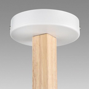 Люстра на штанге Lumion Colange 8095/3C в Шадринске - shadrinsk.ok-mebel.com | фото 9