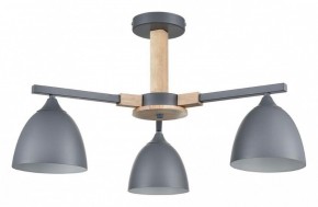 Люстра на штанге Lumion Colange 8096/3C в Шадринске - shadrinsk.ok-mebel.com | фото