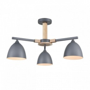 Люстра на штанге Lumion Colange 8096/3C в Шадринске - shadrinsk.ok-mebel.com | фото 2