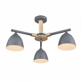 Люстра на штанге Lumion Colange 8096/3C в Шадринске - shadrinsk.ok-mebel.com | фото 3