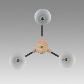 Люстра на штанге Lumion Colange 8096/3C в Шадринске - shadrinsk.ok-mebel.com | фото 4