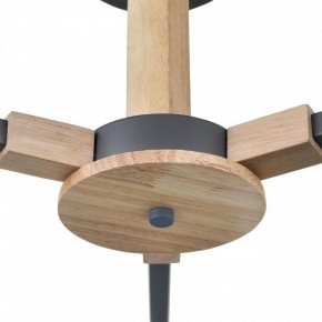 Люстра на штанге Lumion Colange 8096/3C в Шадринске - shadrinsk.ok-mebel.com | фото 7
