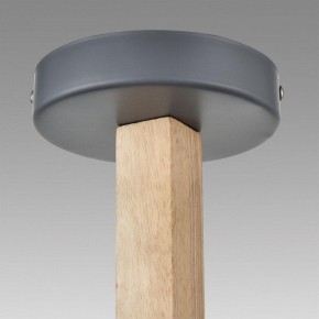 Люстра на штанге Lumion Colange 8096/3C в Шадринске - shadrinsk.ok-mebel.com | фото 9