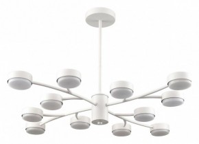 Люстра на штанге Lumion TORINA 8265/12 в Шадринске - shadrinsk.ok-mebel.com | фото