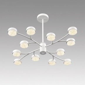 Люстра на штанге Lumion TORINA 8265/12 в Шадринске - shadrinsk.ok-mebel.com | фото 5