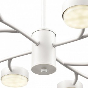 Люстра на штанге Lumion TORINA 8265/12 в Шадринске - shadrinsk.ok-mebel.com | фото 8