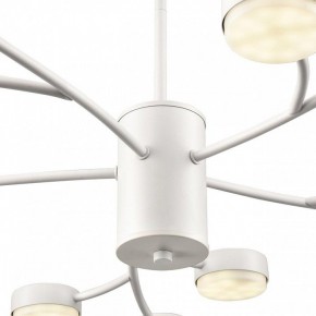 Люстра на штанге Lumion TORINA 8265/15 в Шадринске - shadrinsk.ok-mebel.com | фото 8