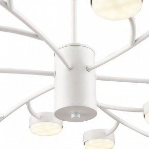 Люстра на штанге Lumion TORINA 8265/18 в Шадринске - shadrinsk.ok-mebel.com | фото 8