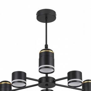 Люстра на штанге Lumion Virsava 8234/6C в Шадринске - shadrinsk.ok-mebel.com | фото 5
