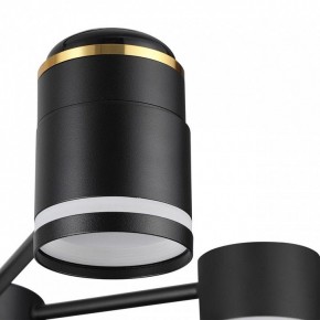 Люстра на штанге Lumion Virsava 8234/6C в Шадринске - shadrinsk.ok-mebel.com | фото 8