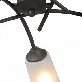 Люстра на штанге Vitaluce V2850 V2850-1/5PL в Шадринске - shadrinsk.ok-mebel.com | фото 6