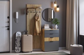 МЕБЕЛЬСОН К3 Прихожая (графит) в Шадринске - shadrinsk.ok-mebel.com | фото