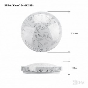 Накладной светильник Эра Классик SPB-6-24-4K (C) в Шадринске - shadrinsk.ok-mebel.com | фото 6