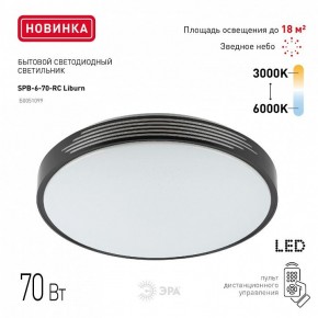 Накладной светильник Эра Классик SPB-6-70-RC Liburn в Шадринске - shadrinsk.ok-mebel.com | фото 10