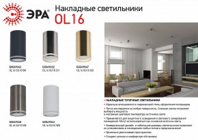 Накладной светильник Эра OL16 GU10 BK Б0049042 в Шадринске - shadrinsk.ok-mebel.com | фото 3