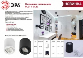 Накладной светильник Эра OL21 BK Б0054393 в Шадринске - shadrinsk.ok-mebel.com | фото 2