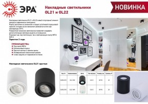 Накладной светильник Эра OL22 BK Б0054395 в Шадринске - shadrinsk.ok-mebel.com | фото 3