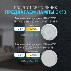 Накладной светильник Эра WL40 BK Б0054414 в Шадринске - shadrinsk.ok-mebel.com | фото 4