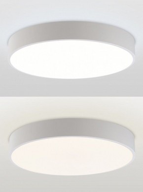 Накладной светильник Natali Kovaltseva MODERN LED LAMPS 81105/1C в Шадринске - shadrinsk.ok-mebel.com | фото 5