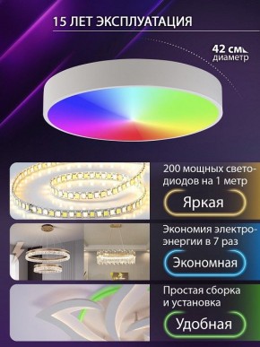 Накладной светильник Natali Kovaltseva MODERN LED LAMPS 81105/1C в Шадринске - shadrinsk.ok-mebel.com | фото 6