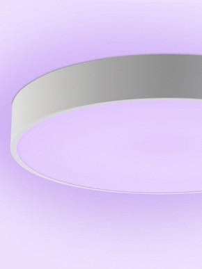 Накладной светильник Natali Kovaltseva MODERN LED LAMPS 81105/1C в Шадринске - shadrinsk.ok-mebel.com | фото 9